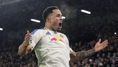 Tottenham vs Leeds: Noah Okafor's goals play key part in steering Daniel Farke's side clear of relegation threat