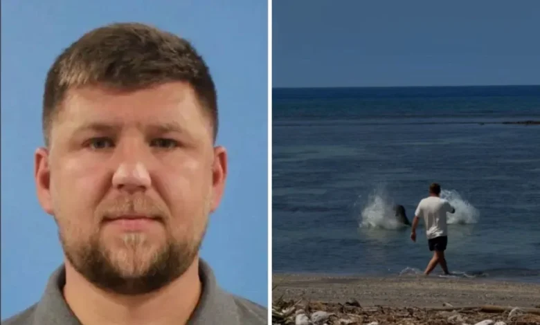 Tourist Threw Rock at Hawaiian Monk Seal to Protect Turtles: Attorney 