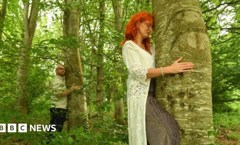 Tree hugging to feature in 130th Devon County Show