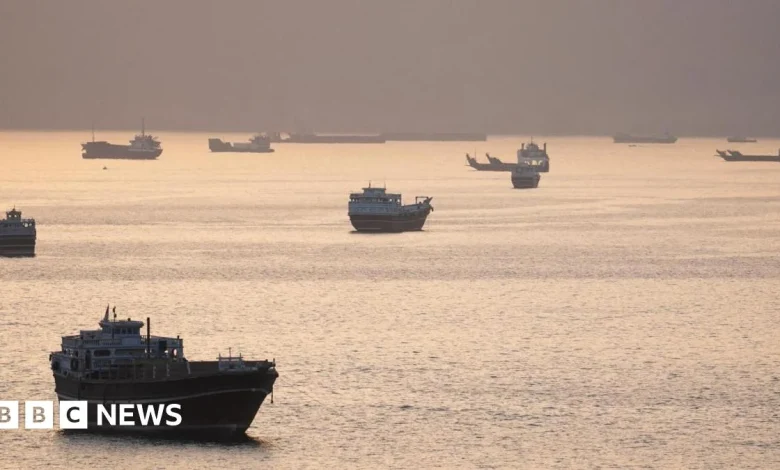 Trump says US military will guide stranded ships out of Strait of Hormuz in 'Project Freedom'