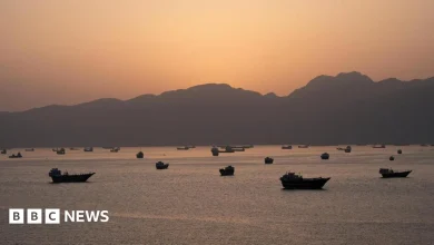 Trump says US military will guide stranded ships out of Strait of Hormuz in 'Project Freedom'