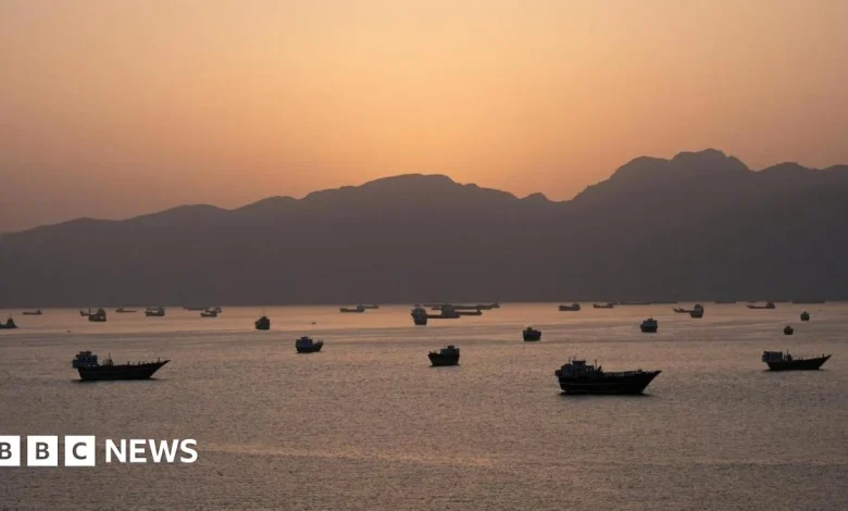 Trump says US military will guide stranded ships out of Strait of Hormuz in 'Project Freedom'