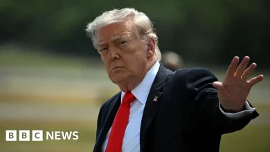 Trump says US to 'guide' stranded ships through Strait of Hormuz