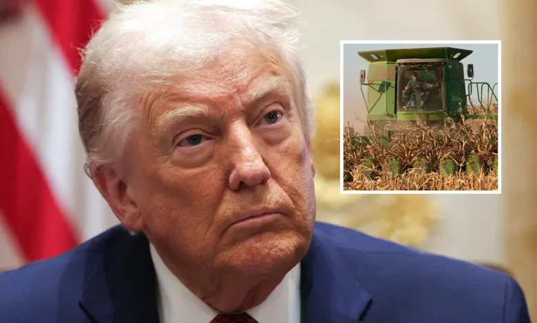 Trump’s Approval Rating Collapses With Rural Americans Amid Farmer Fury