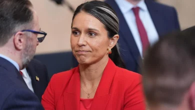 Tulsi Gabbard Becomes Fourth Trump Cabinet Member To Go—And They've All Been Women