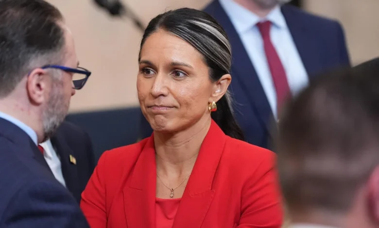 Tulsi Gabbard Becomes Fourth Trump Cabinet Member To Go—And They've All Been Women