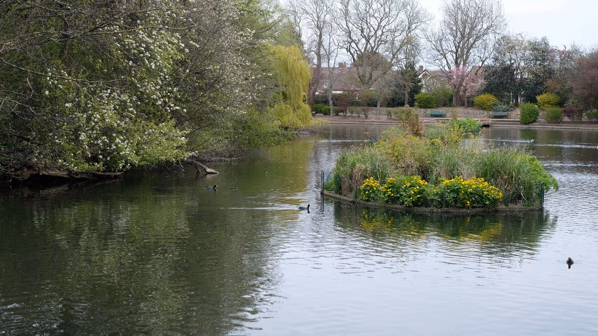 Two 'come forward' after boy pushed into Hartlepool park pond and bottle of urine thrown at him