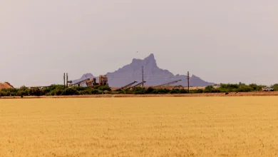 Two of America’s Thorniest Political Issues Are Dividing an Arizona Town