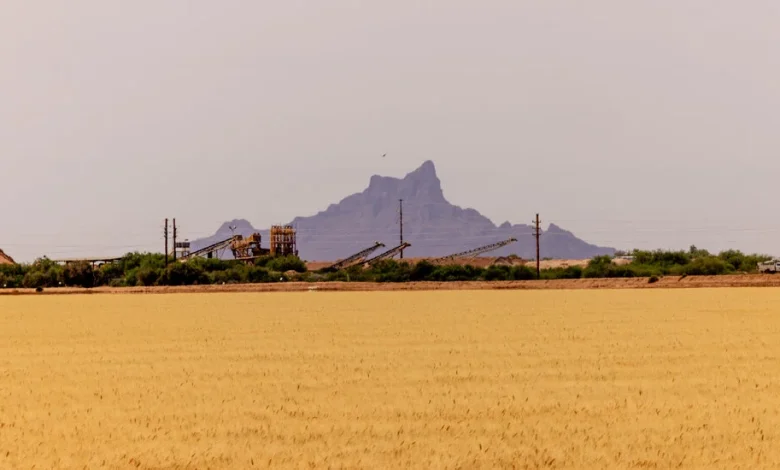 Two of America’s Thorniest Political Issues Are Dividing an Arizona Town