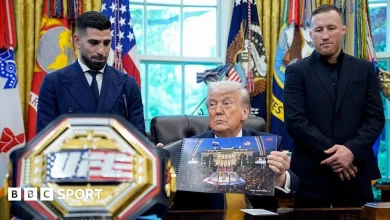 UFC Freedom 250: Why White House event access could cost special guests $1.5m
