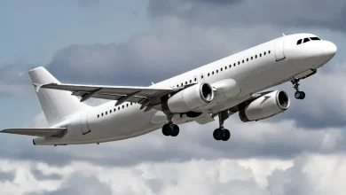 UK Net Zero airline plunges into liquidation without ever taking off - all flights cancelled
