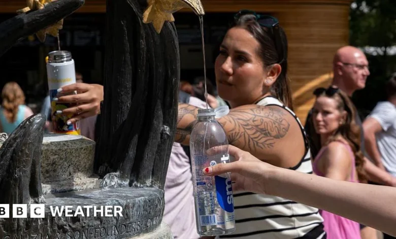 UK heatwave likely to be confirmed as record-breaking temperatures forecast