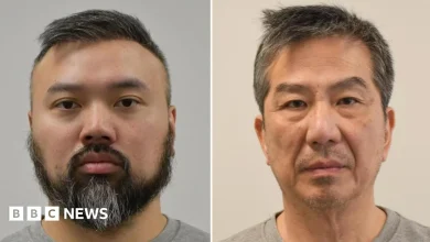 UK immigration officer among two men guilty of working for Chinese intelligence
