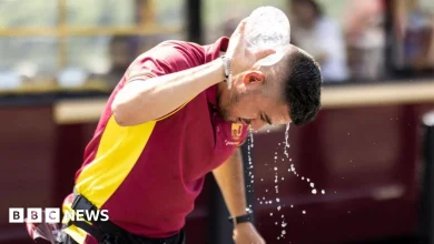 UK should set maximum working temperature rules, advisers say
