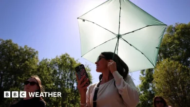 UK weather: Is a heatwave forecast for the Late May Bank Holiday weekend?