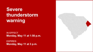 UPDATE: Severe thunderstorm warning previously issued will expire at 3:15 p.m.