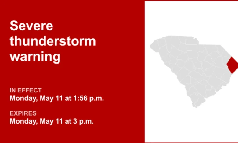 UPDATE: Severe thunderstorm warning previously issued will expire at 3:15 p.m.