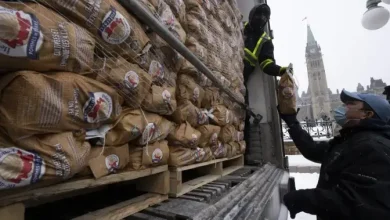 U.S. potato industry wants Canadian spuds banned after potato wart detected