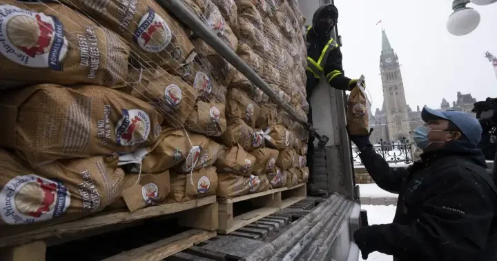 U.S. potato industry wants Canadian spuds banned after potato wart detected