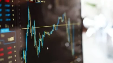 Vanguard lance deux ETF UCITS axés sur les actions européennes