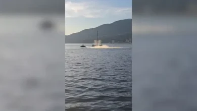 Video captures moment jet ski hits grey whale off Stanley Park