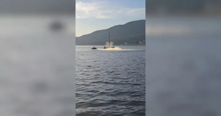 Video captures moment jet ski hits grey whale off Stanley Park