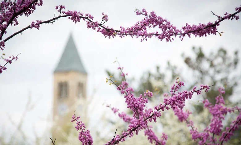 Video of harassment and intimidation incident at Day Hall | University Statements