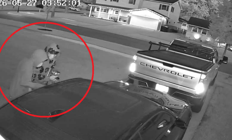 Video shows Elk Grove Village homeowner scaring off Camaro burglars