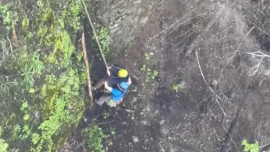 Video shows man's dramatic rescue from beneath Washington state bridge