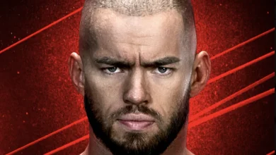 WWE RISING STARS & FADING STARS: A Game Theory, Lil Spotty, Page Rises, Paige Falls, Keys to Success, Americanos Jump the Shark