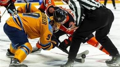Walleye fall 4-2 to Fort Wayne in Game 3; now on brink of elimination