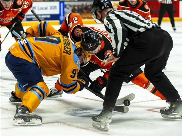 Walleye fall 4-2 to Fort Wayne in Game 3; now on brink of elimination