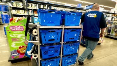 Walmart Changes Cart Rules for Workers After Safety Concerns