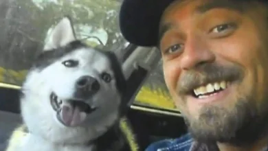 Wanted Palmetto Bay man is captured after deployed airman’s dog dies in Colorado