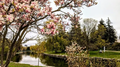 Warm weather, sunshine in the forecast for Victoria Day long weekend