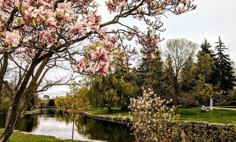 Warm weather, sunshine in the forecast for Victoria Day long weekend