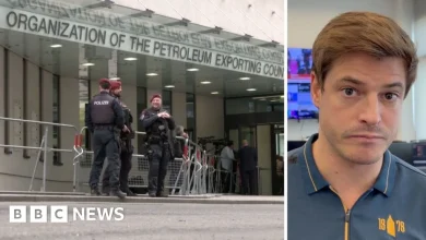 Watch: Why has the UAE left Opec - and why does this matter?