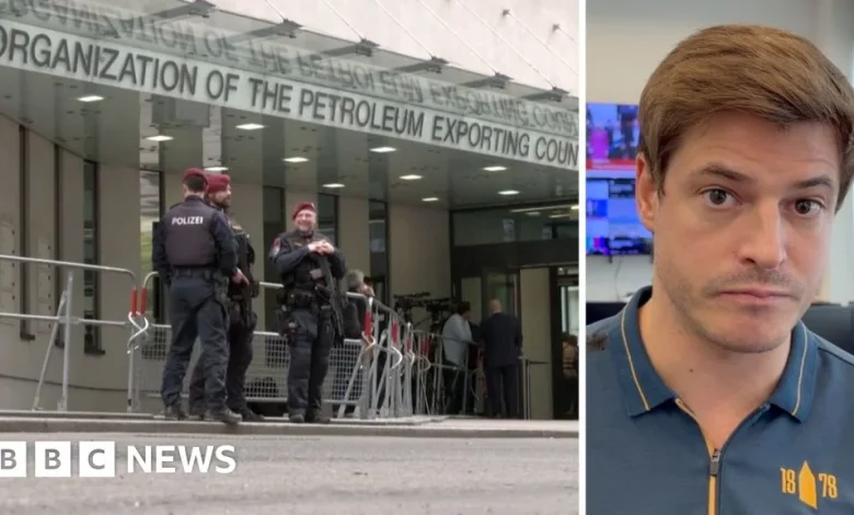 Watch: Why has the UAE left Opec - and why does this matter?