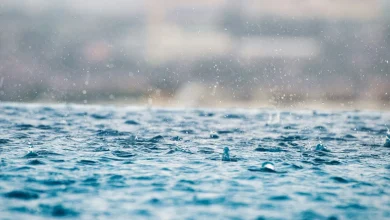 Weather advisory issued as more heavy rain expected in Halifax