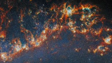 Webb Studies Star Clusters