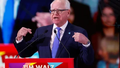 Welfare fraud has blue states rushing — to shield the fraudsters