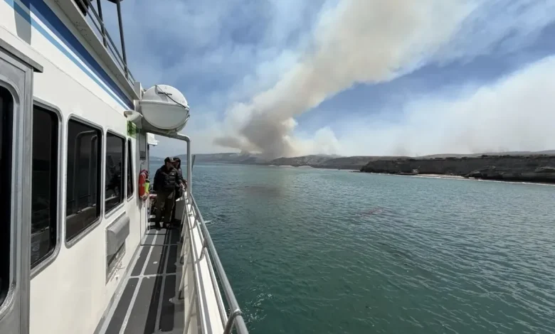 What We’re Losing in the Santa Rosa Island Fire