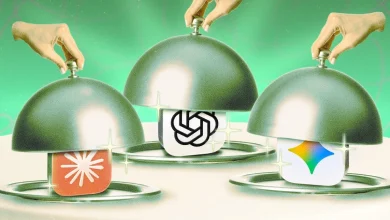 What You Get With Each Paid AI Subscription