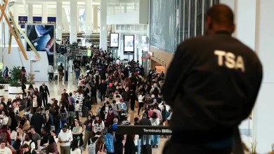 What is TSA Gold+ and how will it affect your summer travel plans?