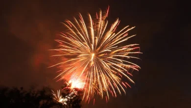 What's going on in and around Newmarket this weekend