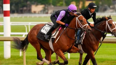 Where to bet on Kentucky Derby 2026: $900+ from official online betting partners