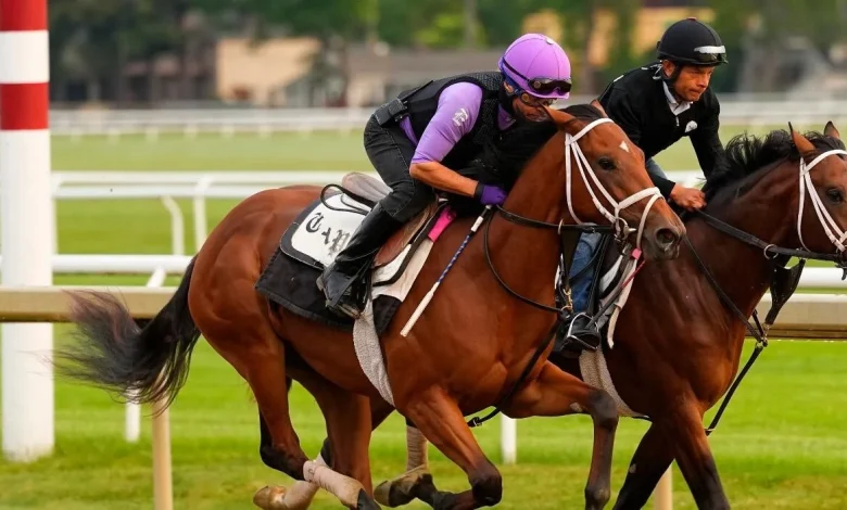 Where to bet on Kentucky Derby 2026: $900+ from official online betting partners