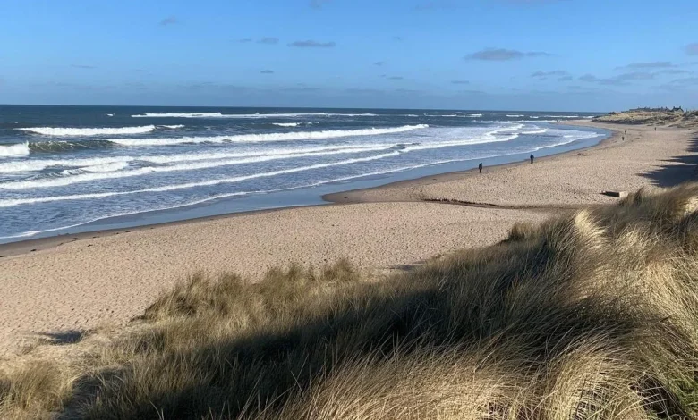 Where to enjoy the perfect 'beach on a budget' this early May Bank Holiday