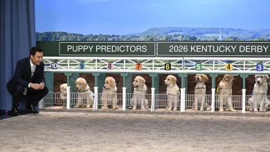 Who Did Fallon's Puppy Predictors Pick for Saturday's Kentucky Derby?