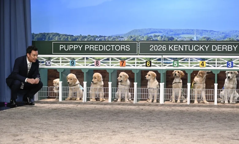 Who Did Fallon's Puppy Predictors Pick for Saturday's Kentucky Derby?